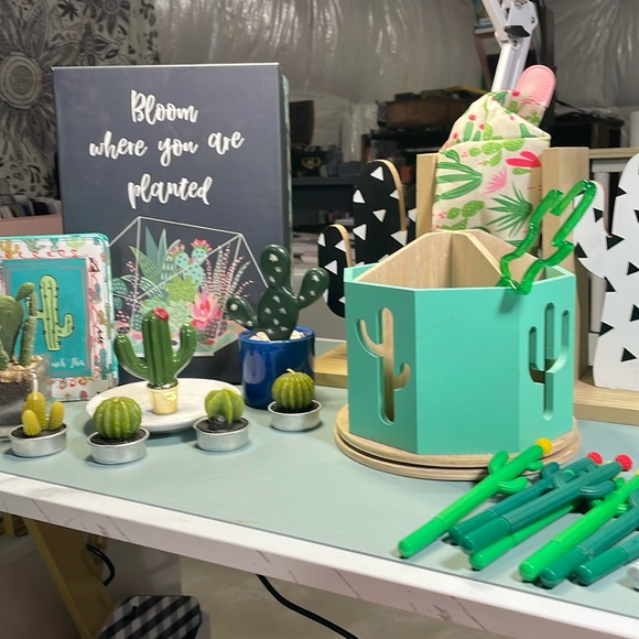 🎉 22 piece cactus bundle